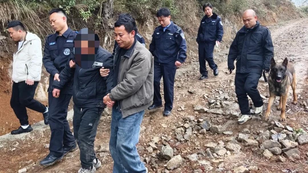 深山寻踪，空陆联动！警民同心上演生命救援