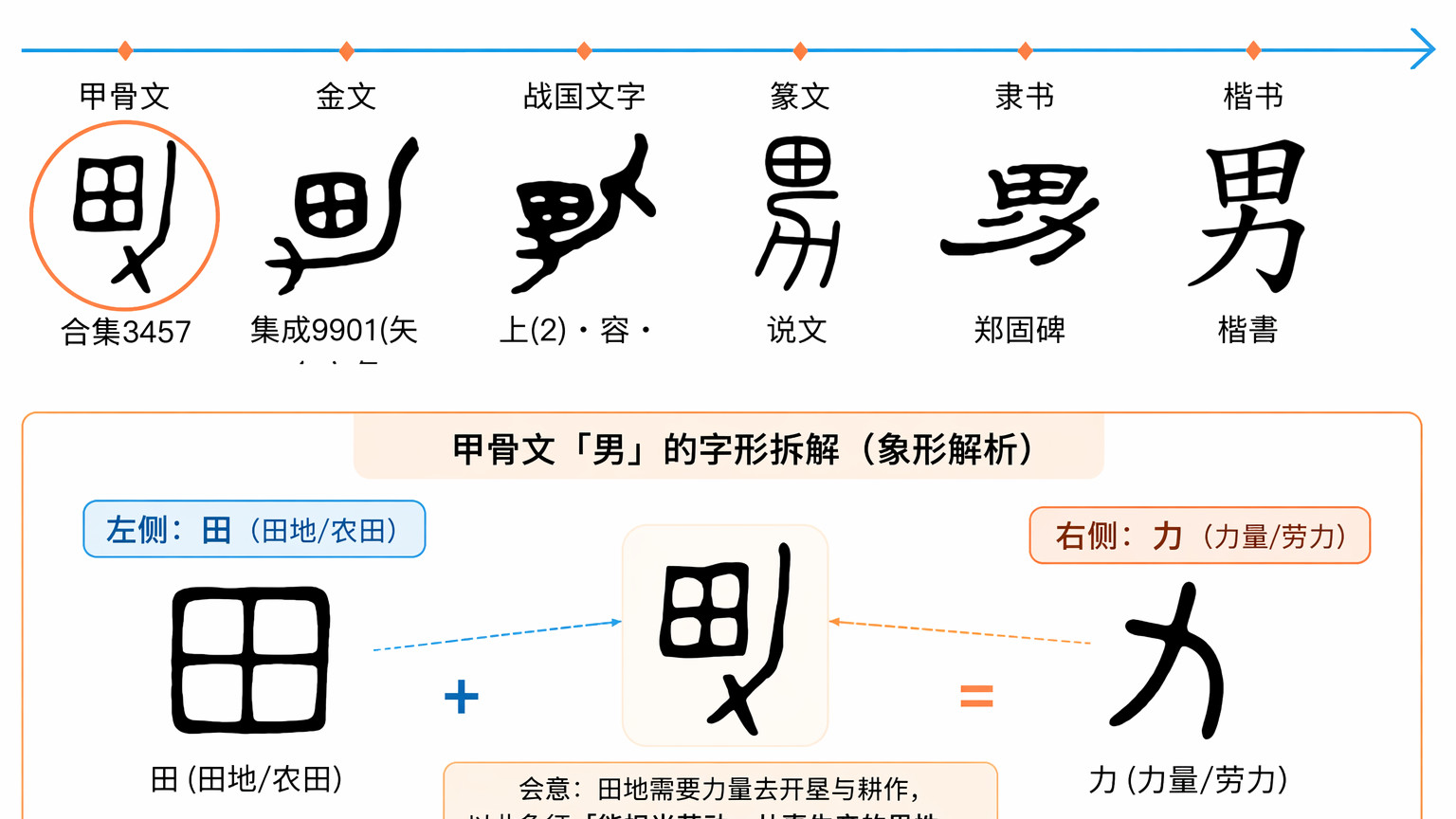 为什么“男”人，是在田里出力？这解释我服了