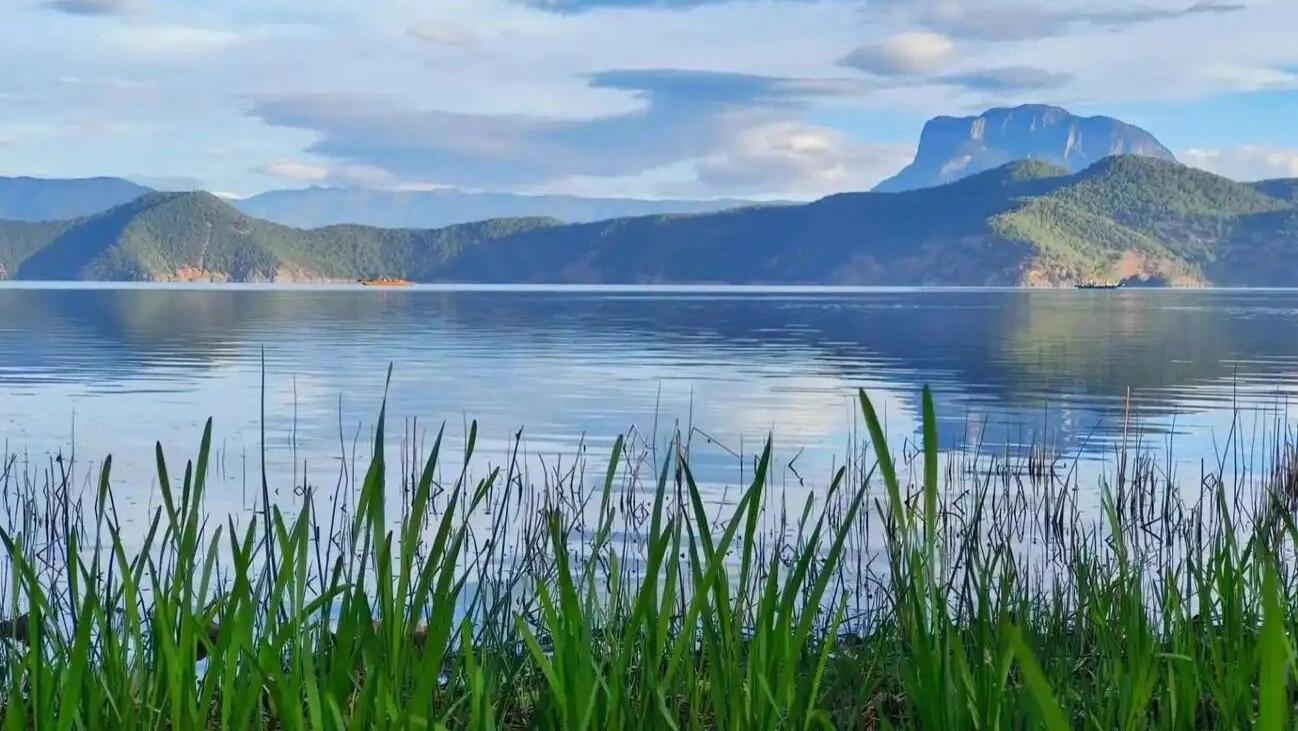 认知越清醒，人生越从容：摆脱内耗，活成自己的摆渡人