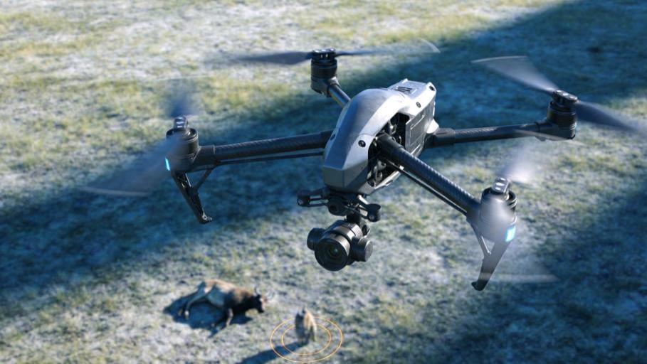 无人机被滥用成“狩猎利器”，谁来监管这把空中猎枪？
