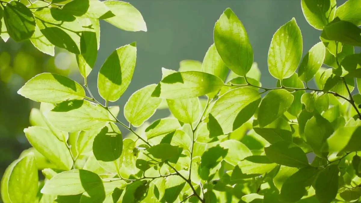 你变了，世界就变了 | 济语