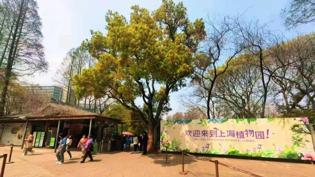 上海植物园：一处别具匠心的普法乐园