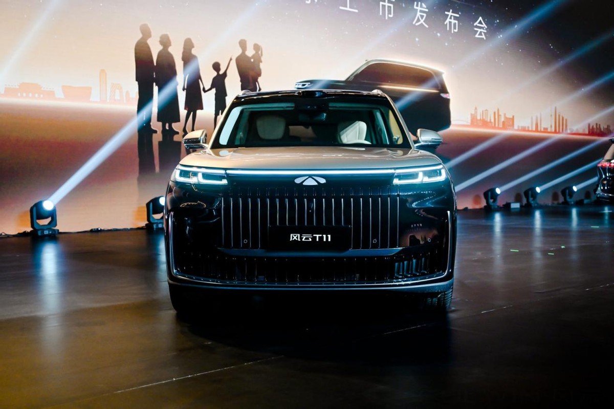 百万级安全+母婴级守护，奥运冠军杨威喜提风云T11