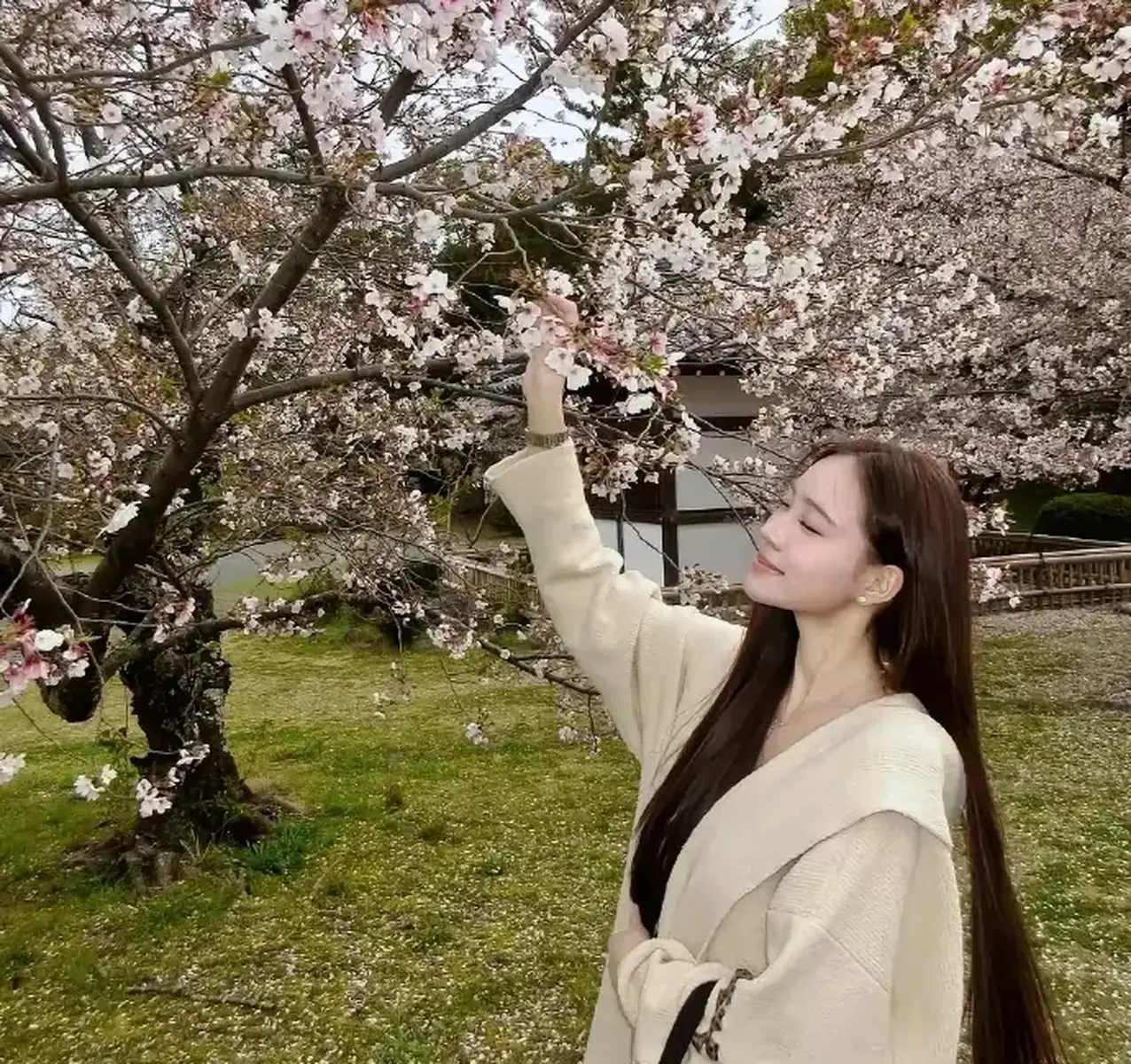 小S二女儿晒日本赏樱美照 穿浅色大衣身材高挑迷人