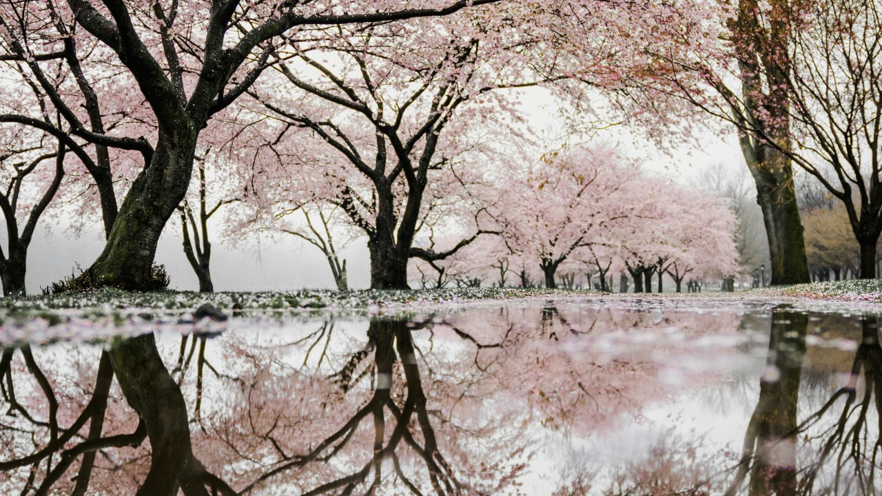 记录春天的几种创意性方式