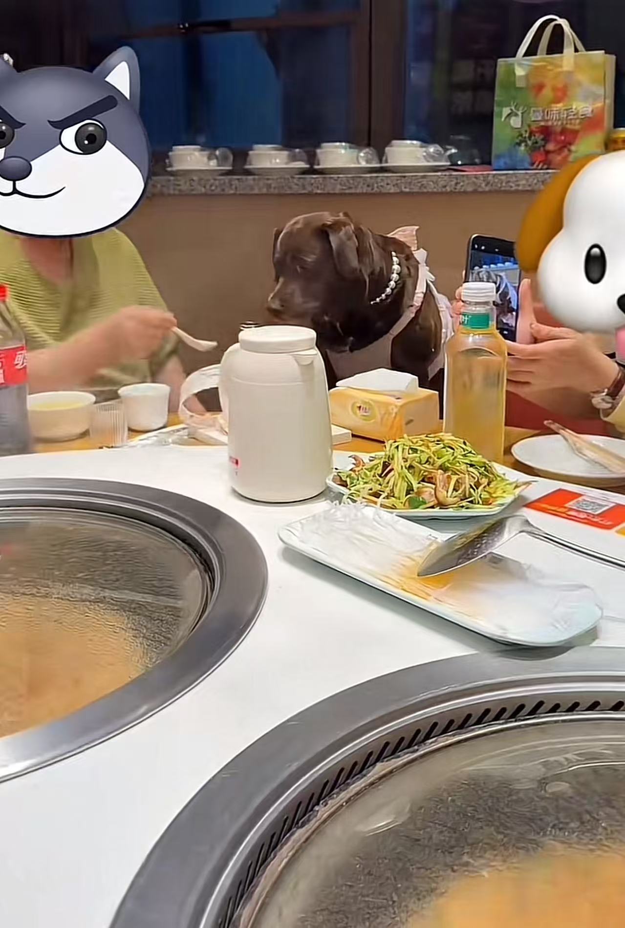 太离谱了！天津，狗主人在饭店给狗过生日，直接拿饭店的餐具一勺一勺的喂狗，网友怒斥
