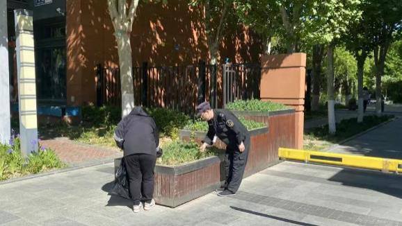 物业员工齐动手丨园区绿意满庭芳