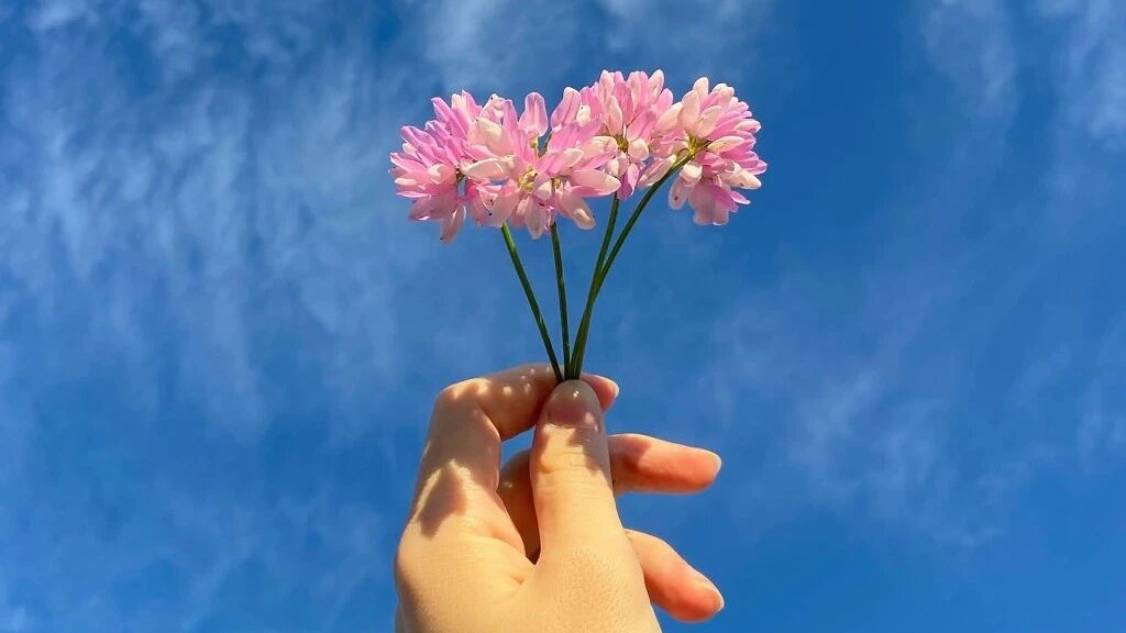 句子虽短，句句渡己