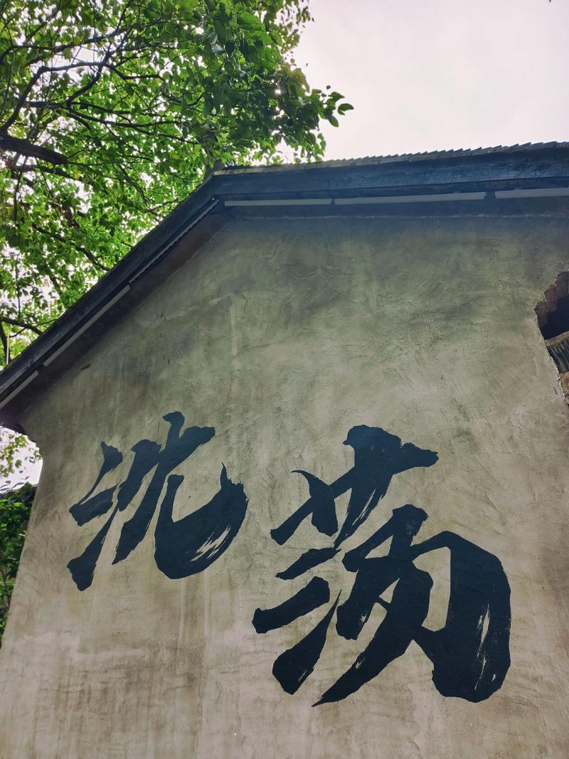 浙江嘉兴，余华故乡沈荡古镇旅游攻略！