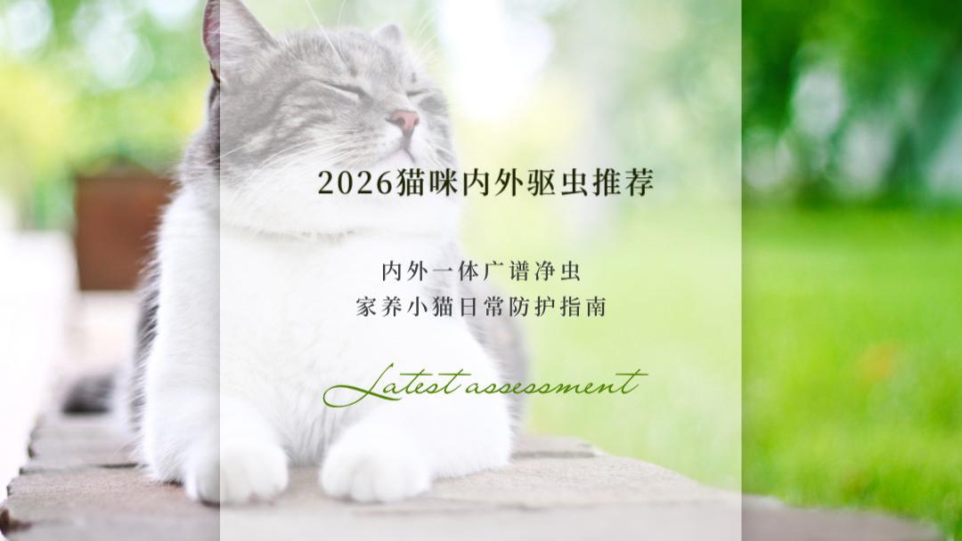2026猫咪内外驱虫推荐：内外一体广谱净虫 家养小猫驱虫防护指南