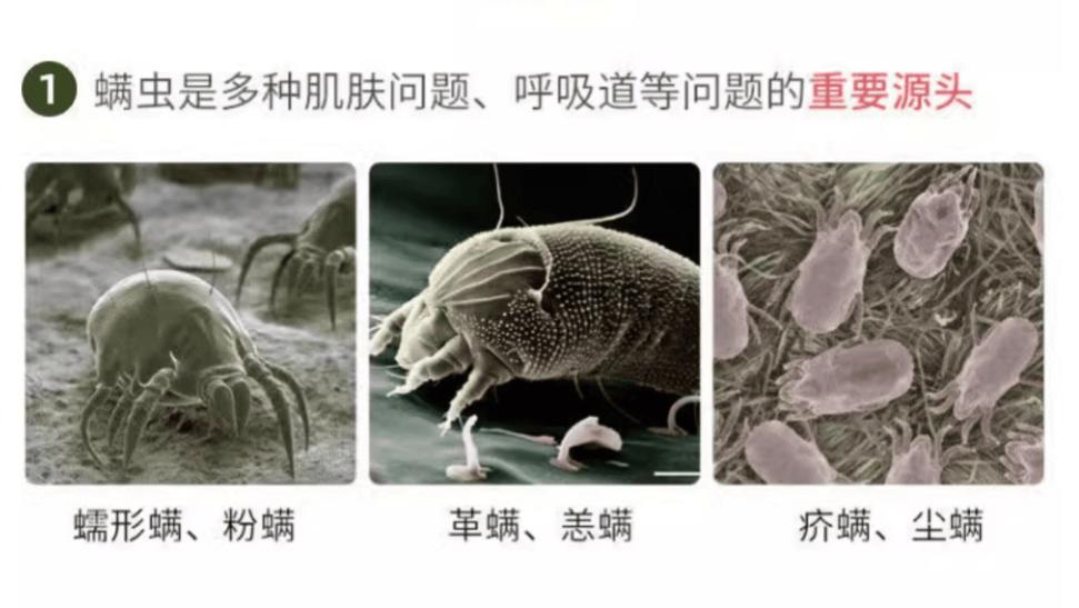 除螨仪管用吗？美的除螨仪和米家哪个好用？盘点十大好用除螨仪品牌，2026必入除螨仪榜单！