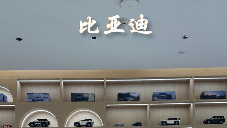 比亚迪藏的太深了！