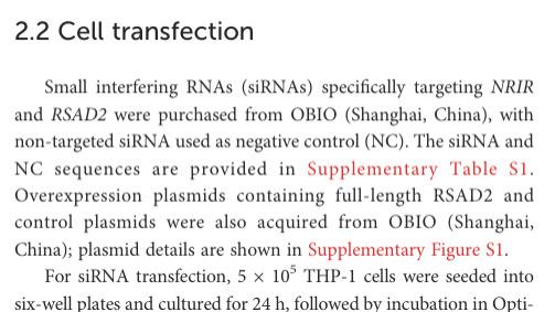 西南医科大学lipofect5000质粒转染试剂成功转染人单核细胞白血病细胞系（THP-1）