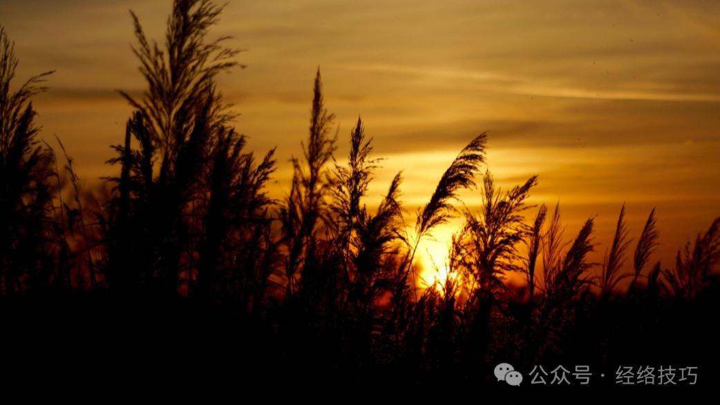 比揉腹还轻松，入夏前早晚坚持做3分钟，肚子软了，腰也轻了，浑身那点“浊”劲都没了