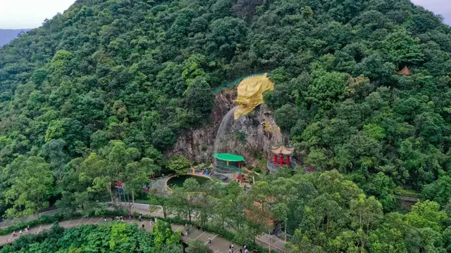 海外来华避暑热度攀升，东莞观音山现实版的绿野仙踪火爆出圈！
