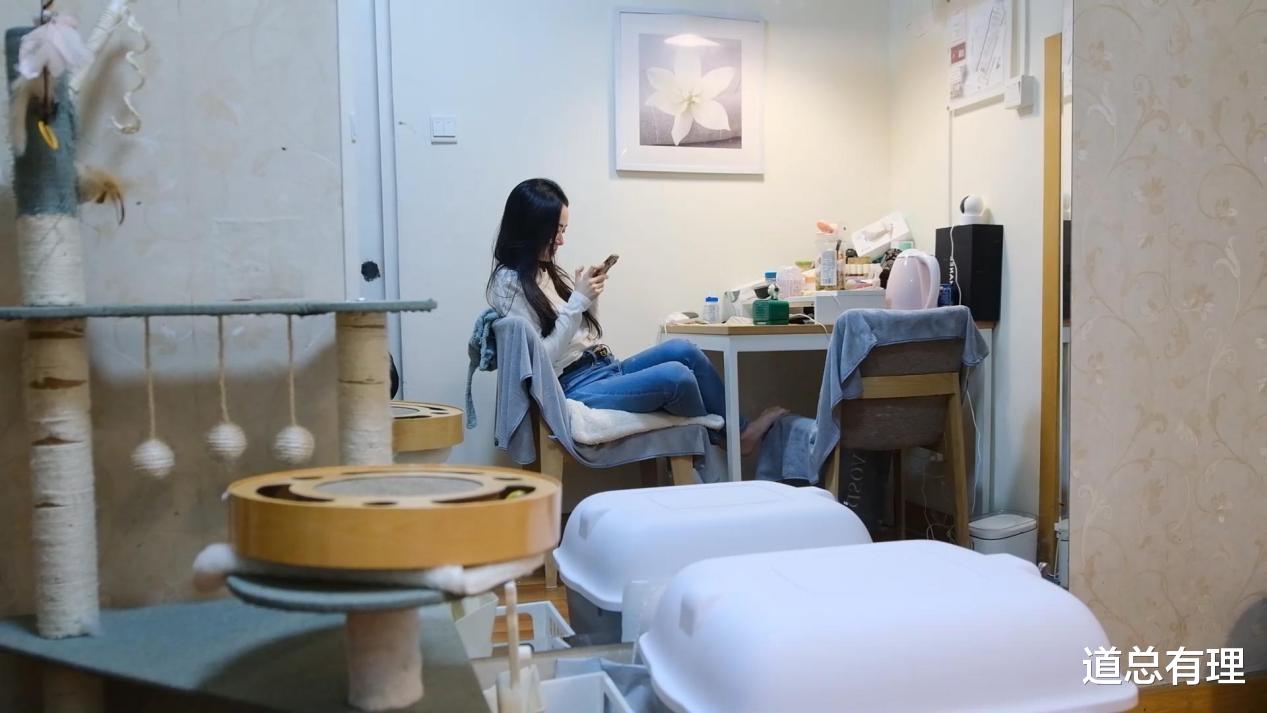 宏大叙事的创业的时代，互联网需要更多Demumu-锋巢网