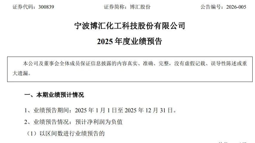 博汇股份陷“双重困局”：2025年业绩预亏4800万元至7000万元，叠加侵权诉讼缠身