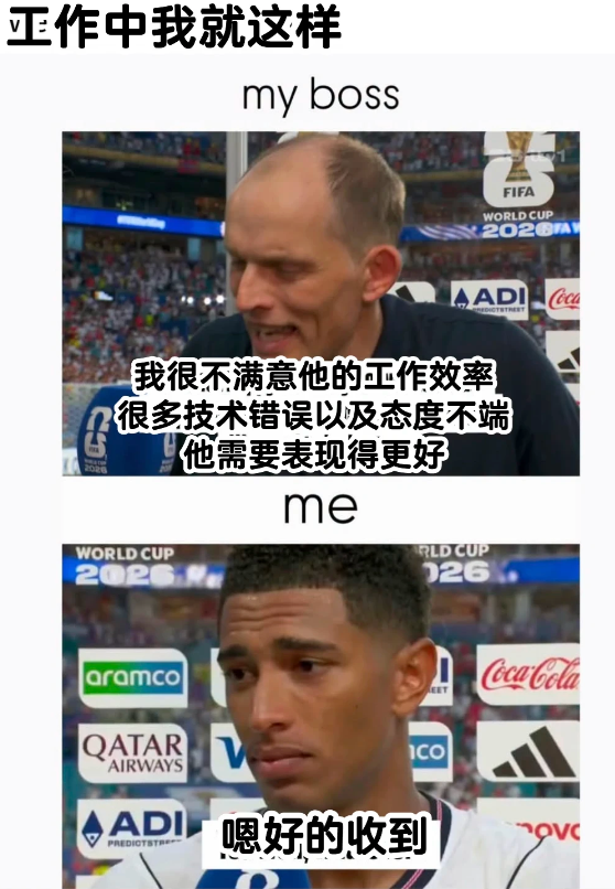 我一个葡萄牙球迷，然后我一直想瑞士赢，我看到那个恩多耶进球的时候，我真的，我都觉