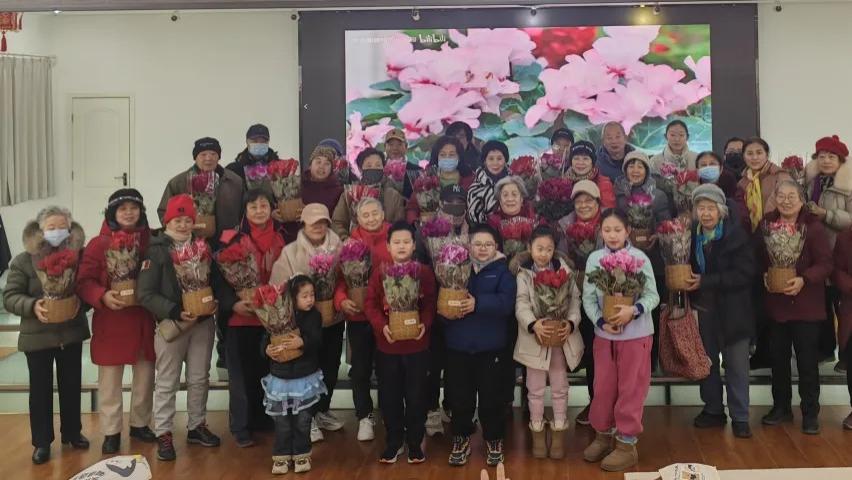 手植仙客来 绿意满家园