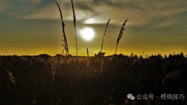 几毛钱就把脾胃养好了，这配方能吃一辈子，吃完胃里舒服了