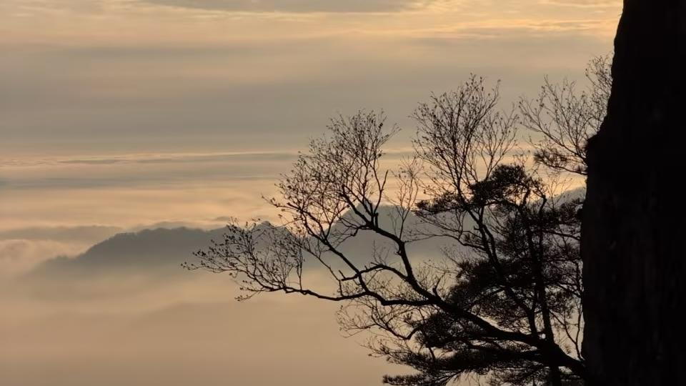 让人安宁的人生佳句累了的时候就读一读吧！