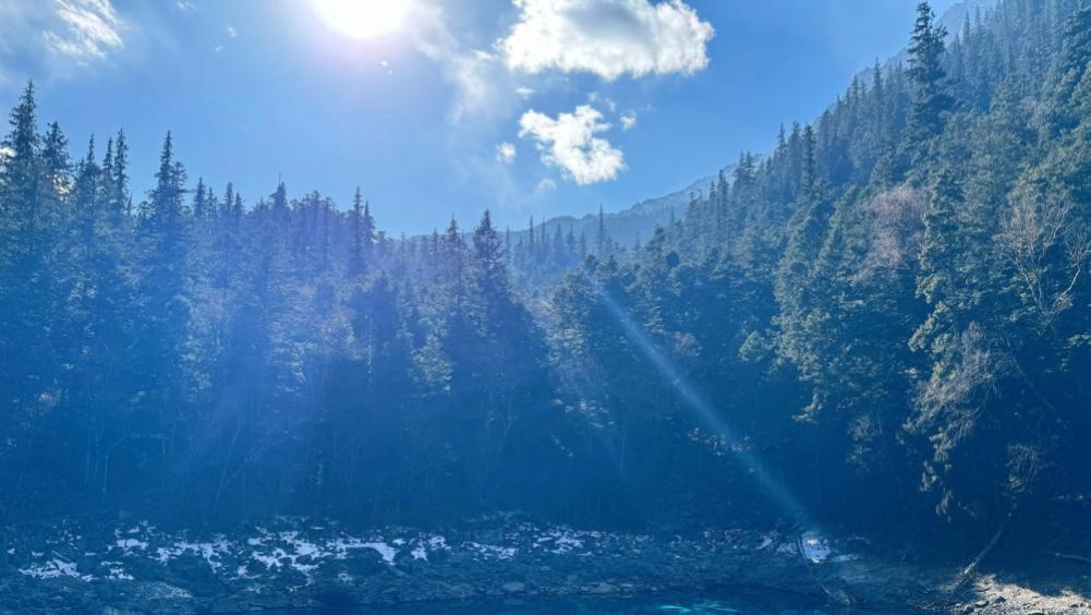 梨园子弟有分教