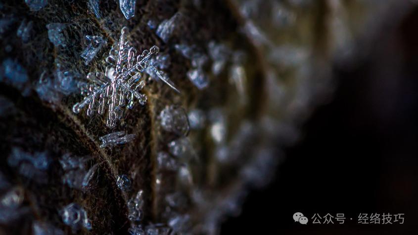 冬天皮肤干到“掉屑”、小腿长“鱼鳞”？关键可能不在补水，而是这里没通