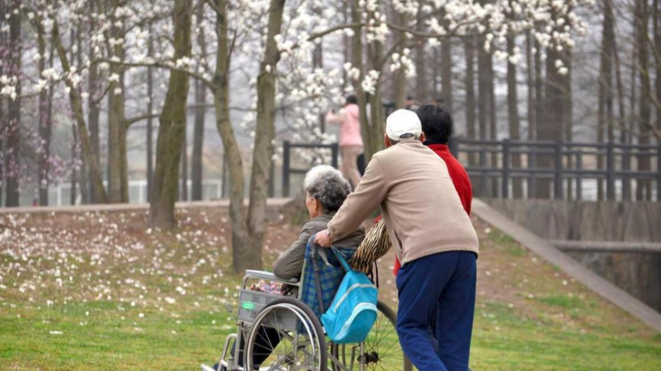 轮流养老，为什么会让孝顺的子女变成仇人？