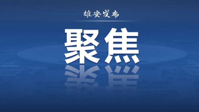 这里是雄安：建城先育人，育人以兴城