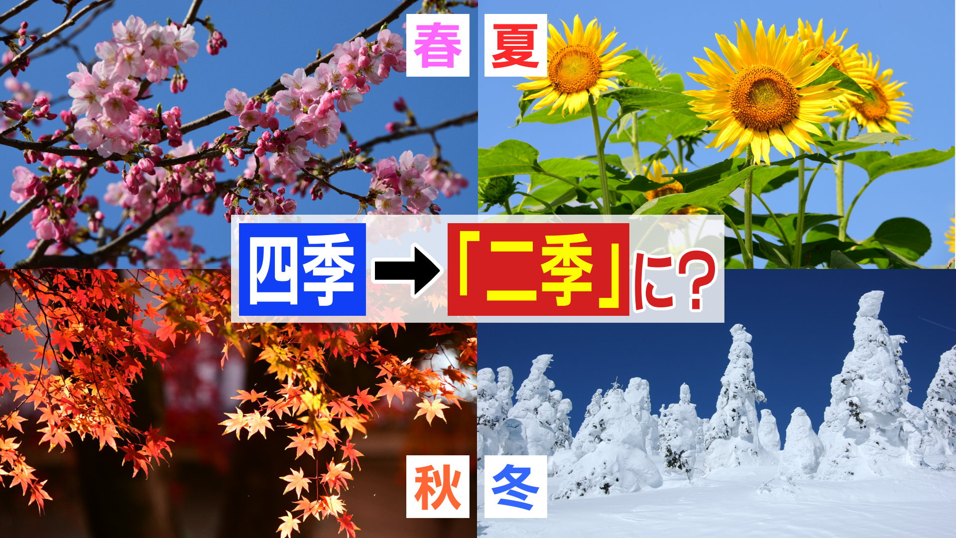 超8成日本人感慨：日本只剩夏冬两季了，高温彻底改写生活方式