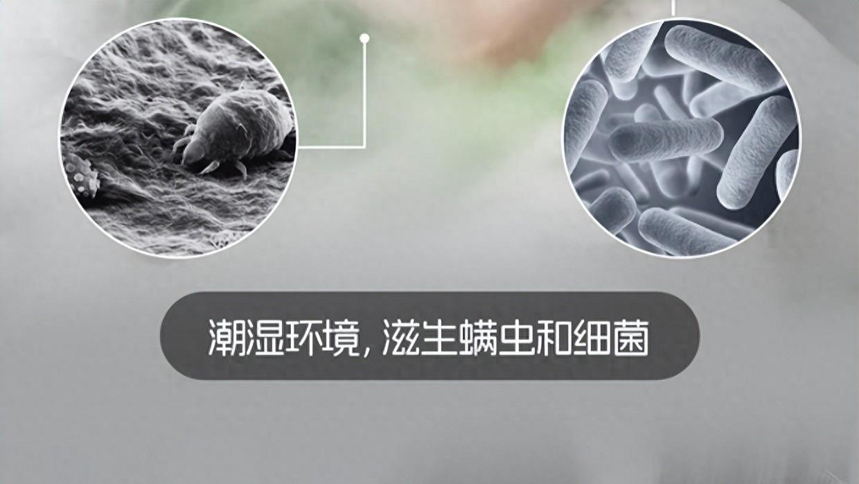 公认好用的除螨仪有哪些？家用除螨仪怎么选？2026好用除螨仪十大名牌排行榜，硬核实测分析