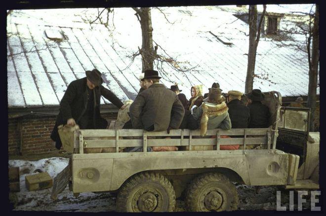 走，上班去！（二战中的比利时）