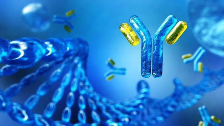 从抗体发现到酶改造：酵母展示技术的全链条赋能