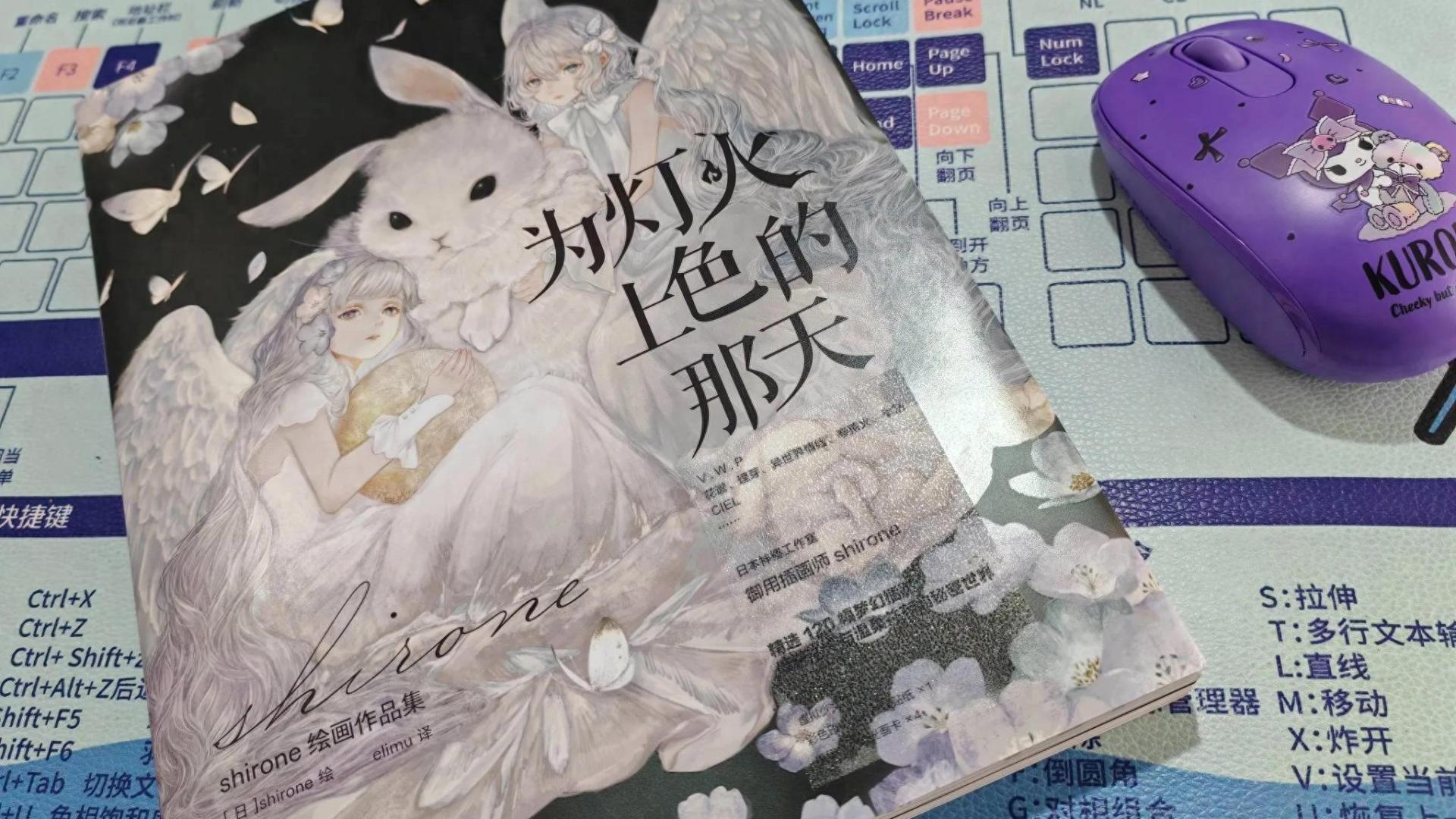 《为灯火上色的那天》，一本开启我个人梦想的画集