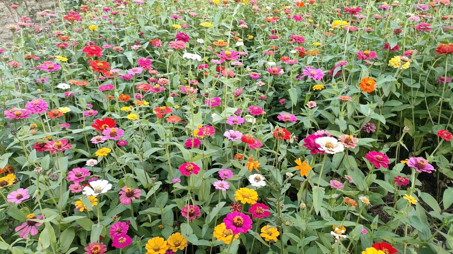 鬼谷子：13句震世名言，千古谋圣值得珍藏品阅