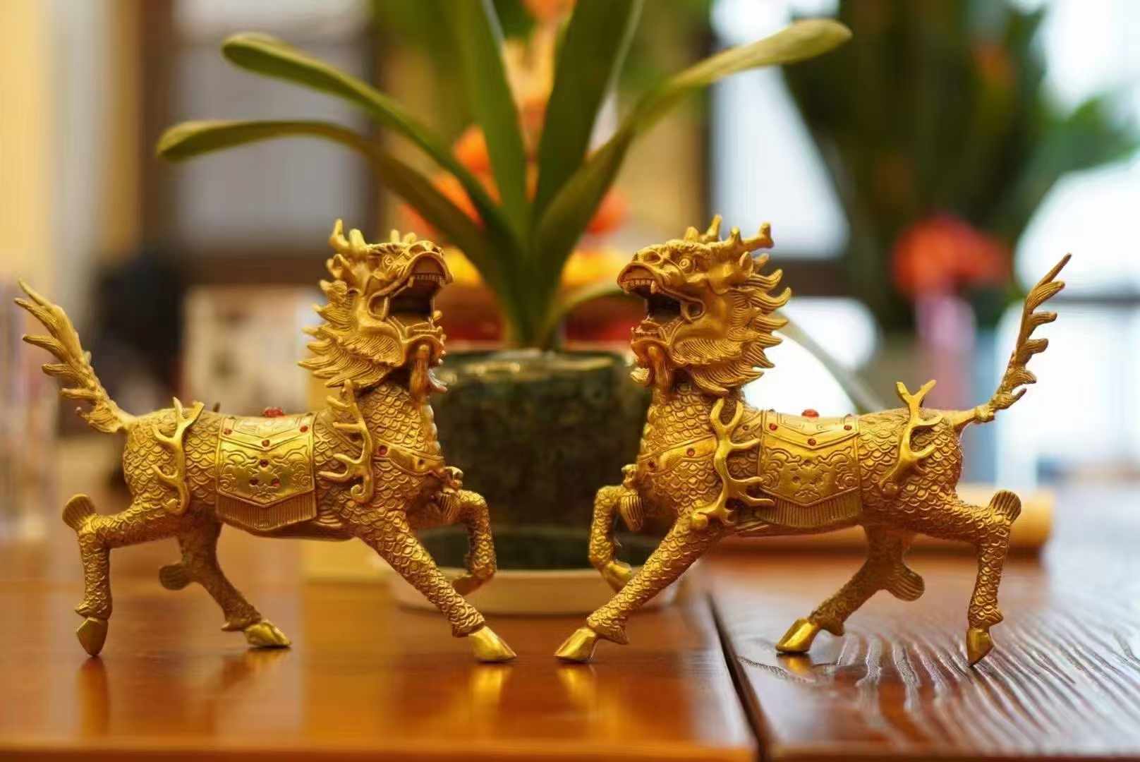 ☯️人生诸事，皆在调。
调心，则百忧解；
调身，则百病消；
调家，则百福生。
今