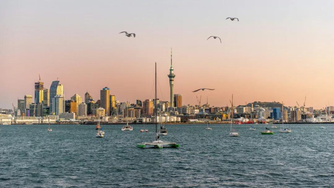 没钱也想移民？100万预算，这2个低门槛国家别错过！