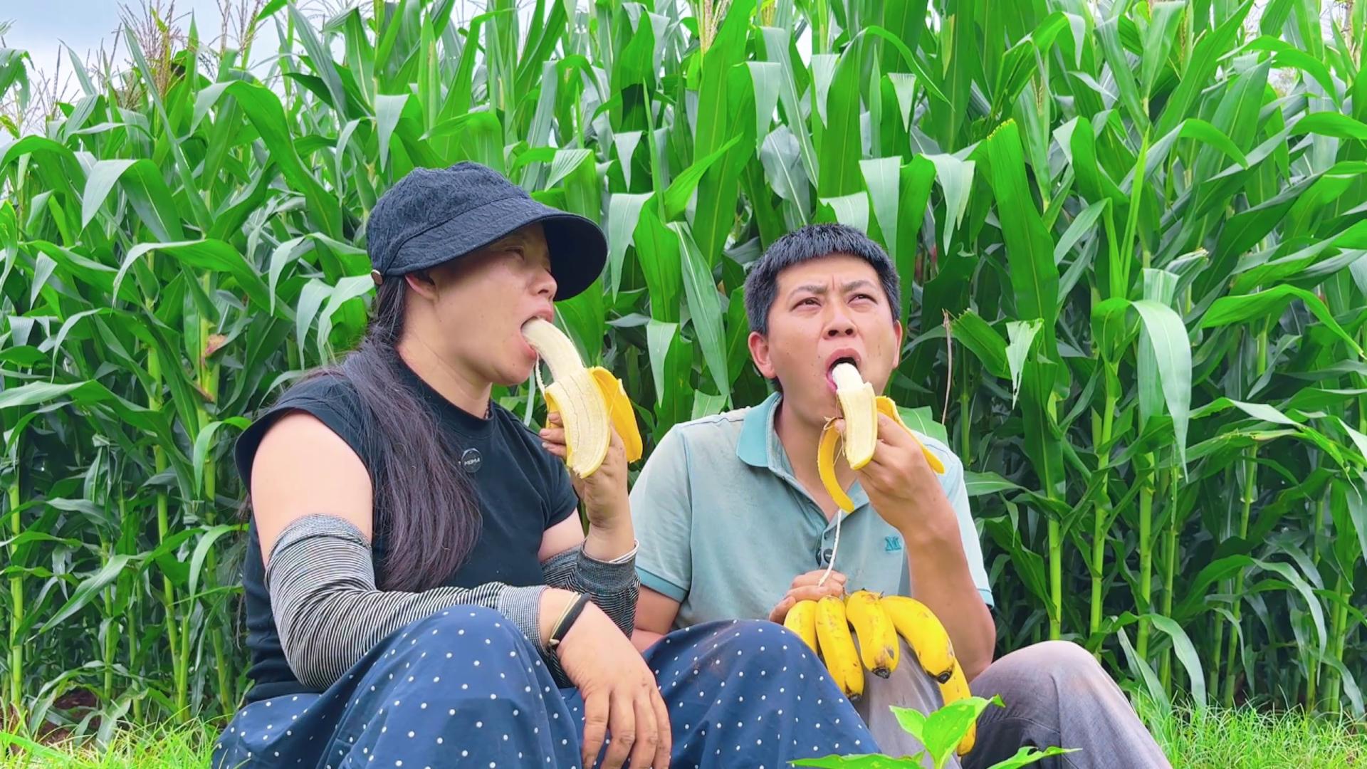夫妻俩玉米地拔草，中午饿了吃香蕉，平平淡淡也知足