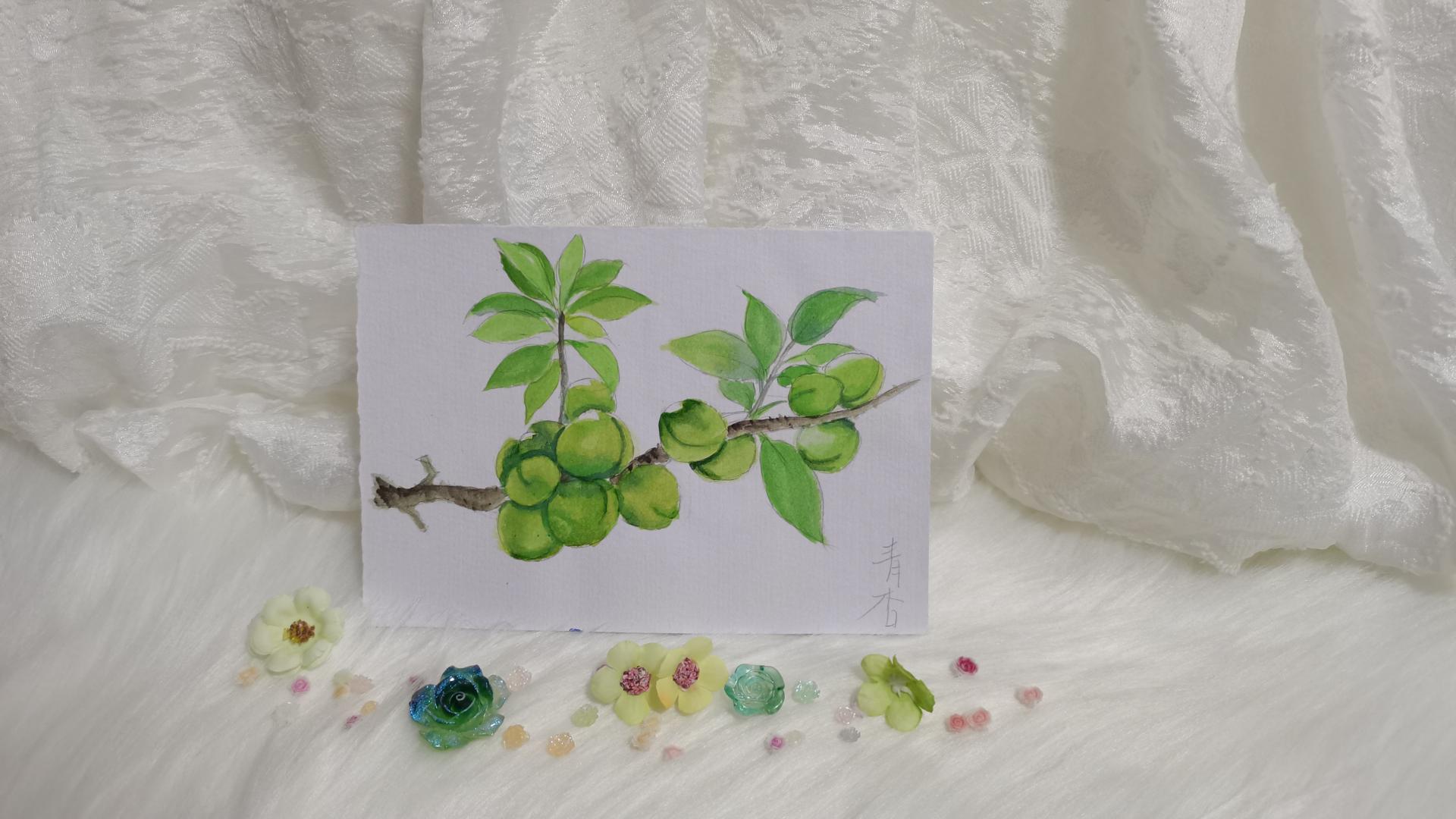 15 青杏（果花甘07）