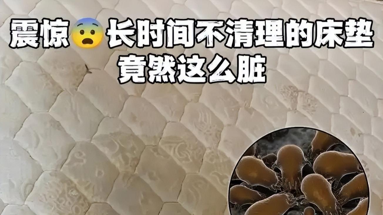 床上用品除螨仪到底有木有用吗？哪一款除螨仪比较好用？十大品牌推荐，如何挑选除螨仪，这里有答案！