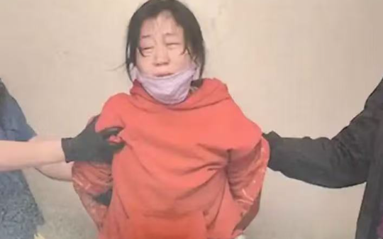 两大妈网络互喷26年，一路骂到国外法庭：她当庭泄愤