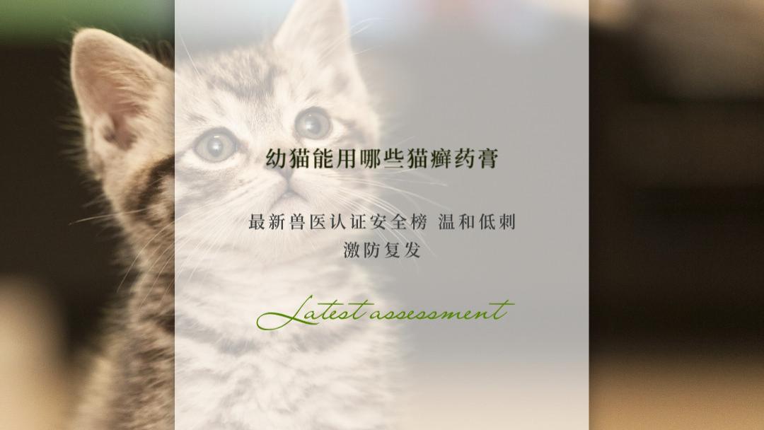 2026幼猫能用哪些猫癣药膏？最新兽医认证安全榜 温和低刺激防复发