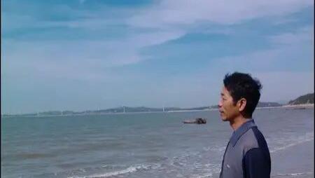 陈金略｜百花齐放·翰墨飘香——首届全国艺术双年展特邀艺术家