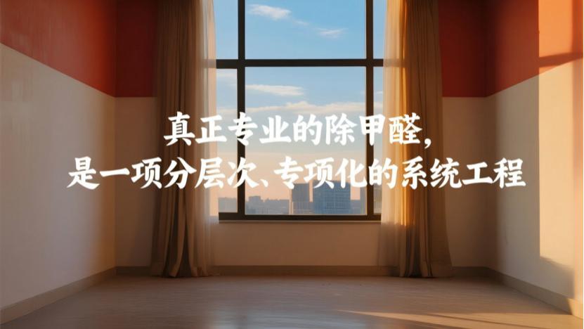 除甲醛公司的专业性，藏在你看不见的细节里