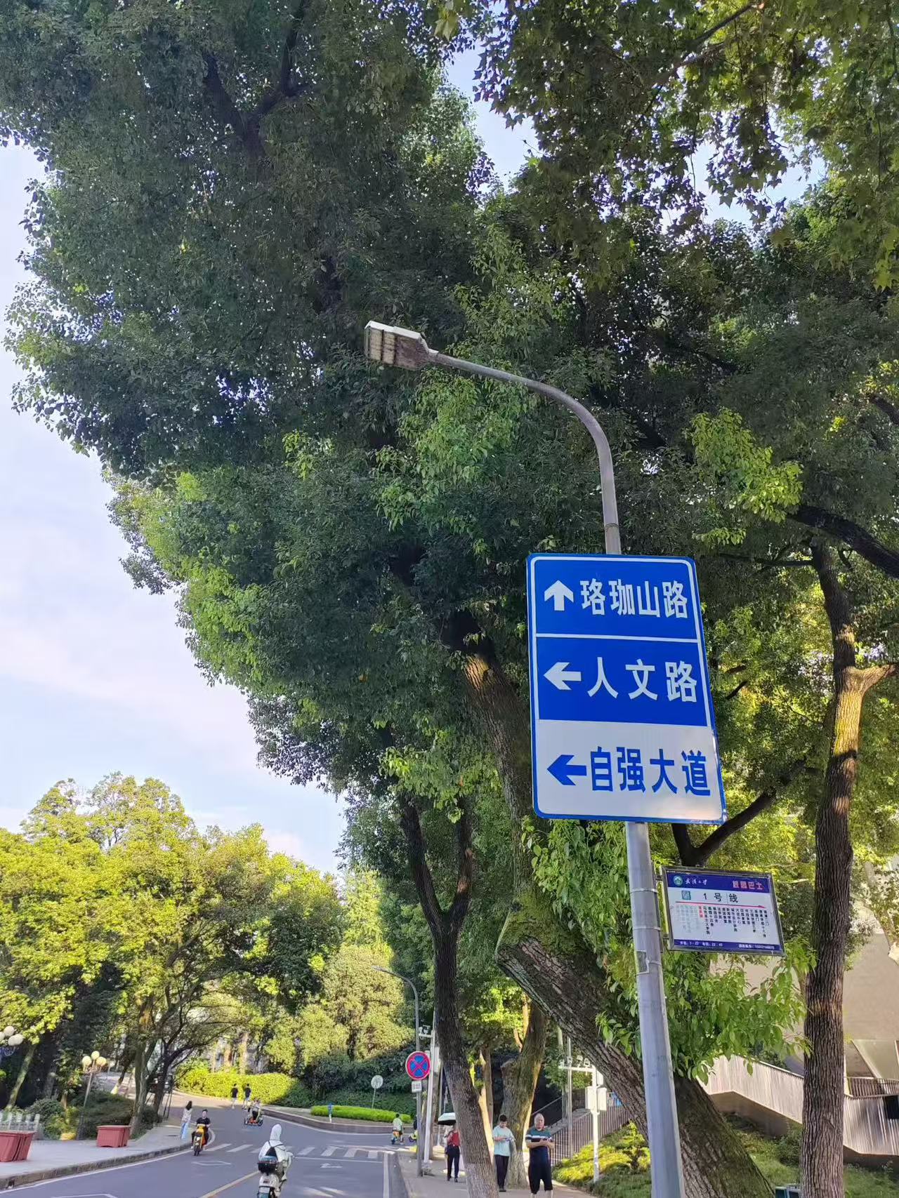 湖北武汉旅游，武汉大学校园游打卡攻略！