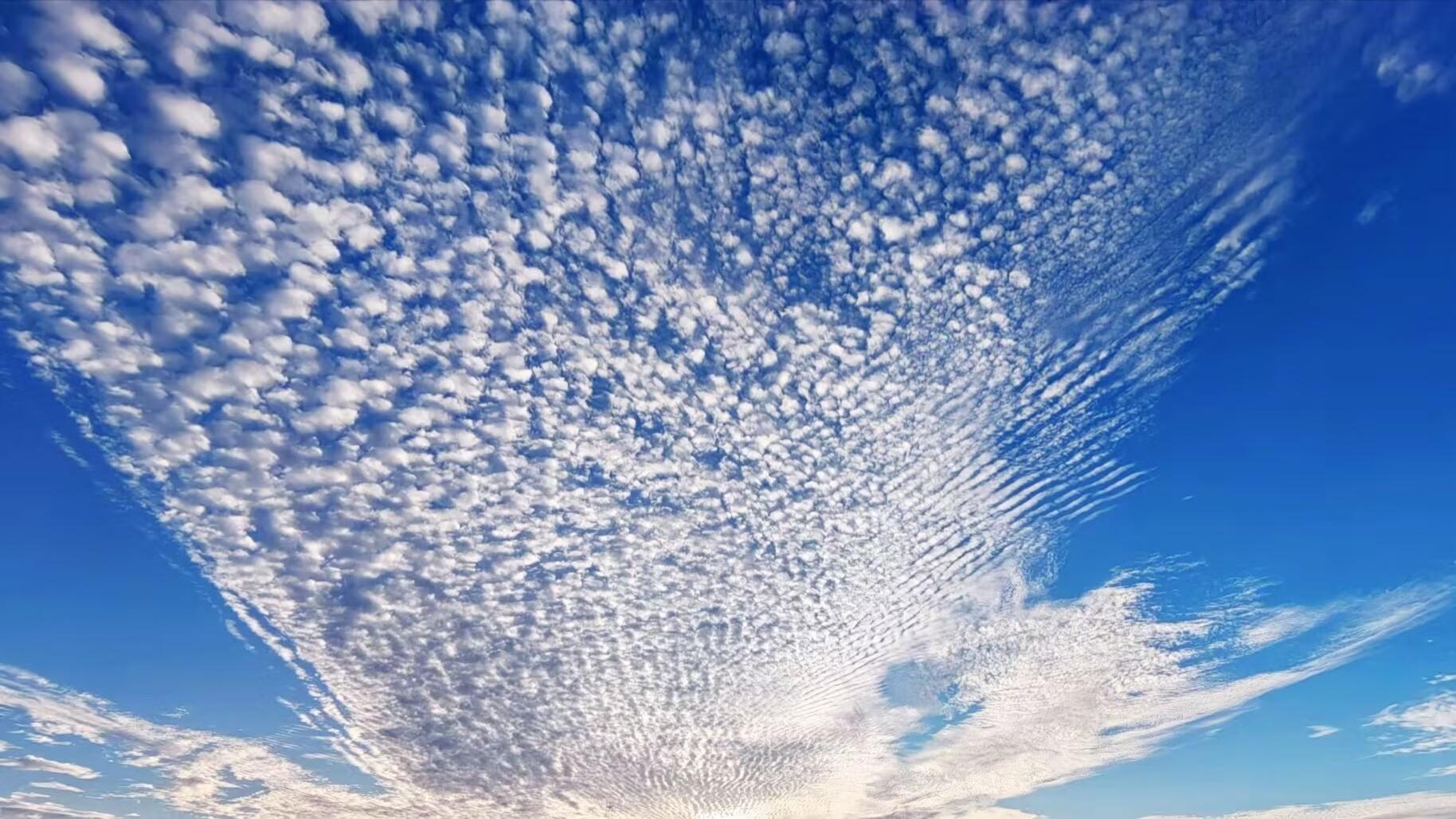 【字里人生】不肯改变自己，是不可能前进的