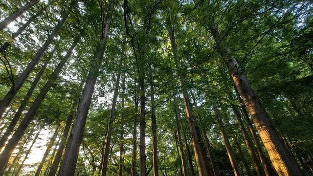 三边封棉浆纤维纸袋FSC认证GRS证书EN15343世界森林日环保包装袋