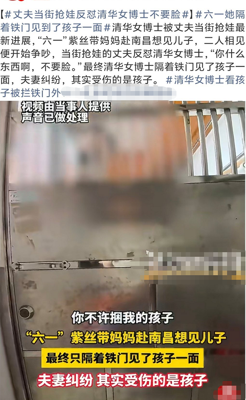 清华女博士被丈夫当街抢娃最新进展，“六一”紫丝带妈妈赴南昌想见儿子，二人相见便开