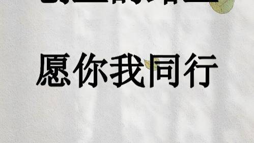 抖音养号如何找到同行方法