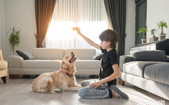 2026养犬新规第一案：女子带超标的罗威纳犬硬闯商场，连人带狗都被派出所带走